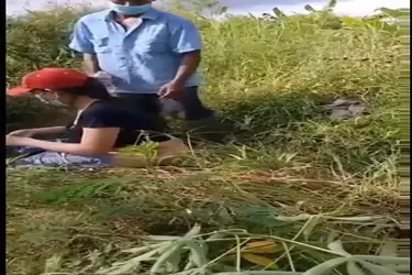 Prank Tukang Kebun